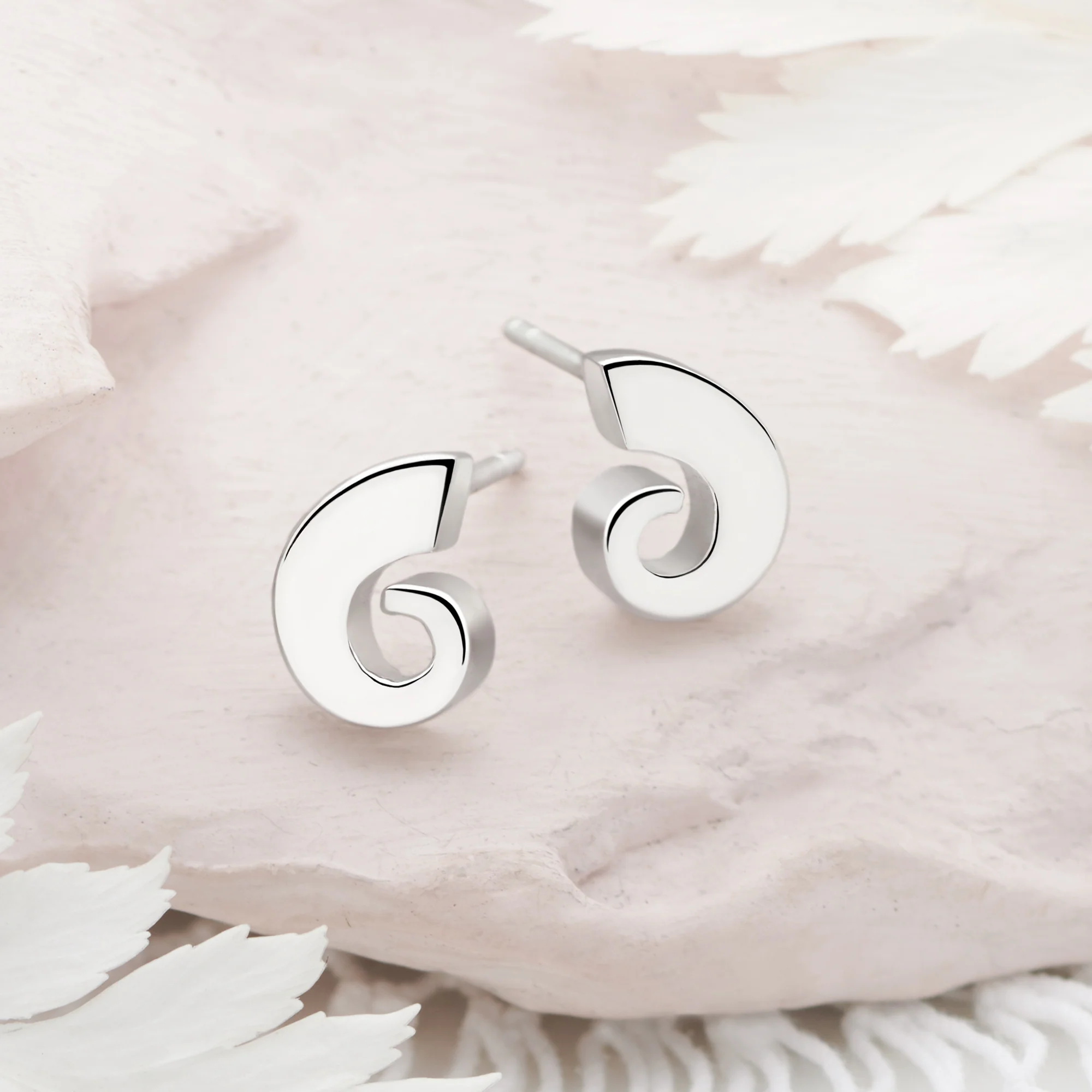 Ammonite Set (P100+E100) - Image 3